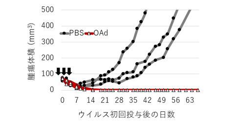 pSALL4制御性OAd腫瘍内投与による腫瘍体積の変化